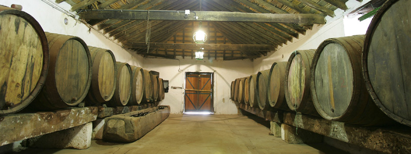 barricas en la bodega La Isleta